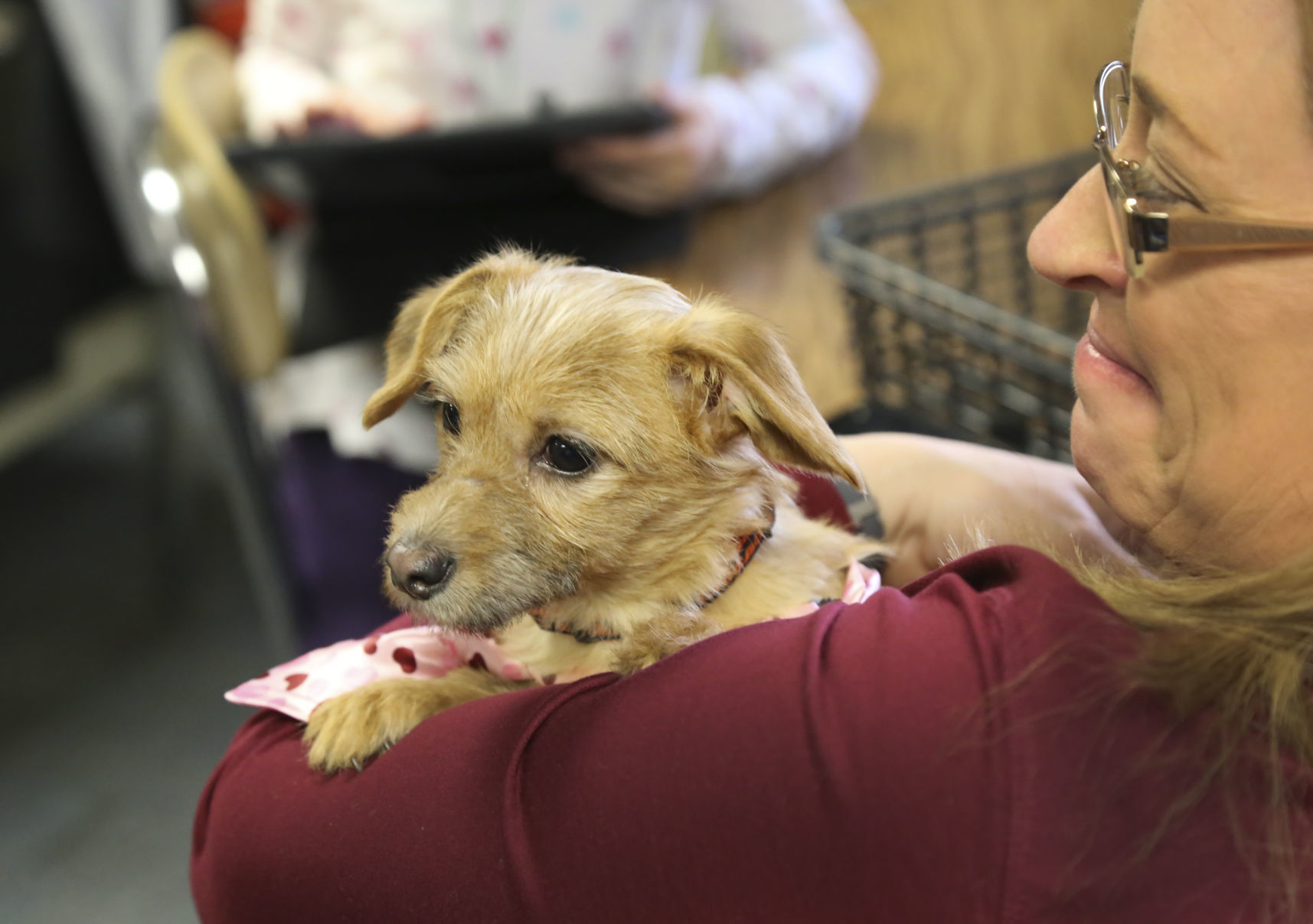 Louie the dog visit Southridge Elementary
